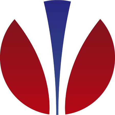 NYV Holdings Logo